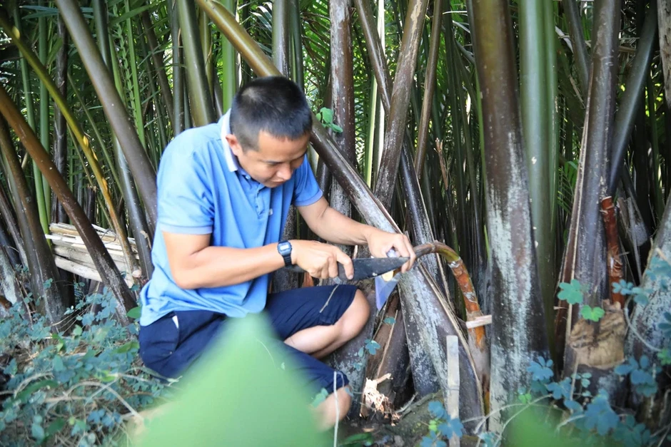 Từ bỏ công việc lương cao, về quê ‘đánh thức’ mật dừa nước ven sông Từ bỏ công việc lương cao, về quê ‘đánh thức’ mật dừa nước ven sông