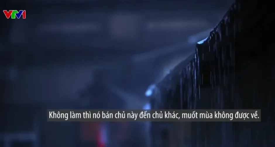 Từ lời hứa đổi đời đến nỗi ám ảnh kéo dài của nạn nhân mua bán người Từ lời hứa đổi đời đến nỗi ám ảnh kéo dài của nạn nhân mua bán người