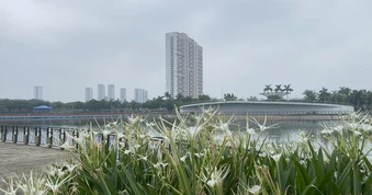Từ nay đến 20-7: Bắc bộ và Trung bộ còn nhiều đợt nắng nóng, Nam bộ nhiều ngày mưa dông