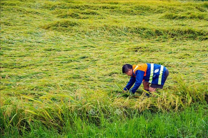 Từ ngày 5-14/5, nhiều vùng biển sóng lớn nguy hiểm cho tàu thuyền Từ ngày 5-14/5, nhiều vùng biển sóng lớn nguy hiểm cho tàu thuyền