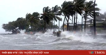 Từ Quảng Ninh đến Khánh Hòa chủ động ứng phó áp thấp nhiệt đới