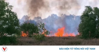 Túc trực chống cháy rừng ven biển giữa nắng nóng