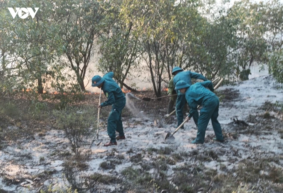 Túc trực chống cháy rừng ven biển giữa nắng nóng Túc trực chống cháy rừng ven biển giữa nắng nóng