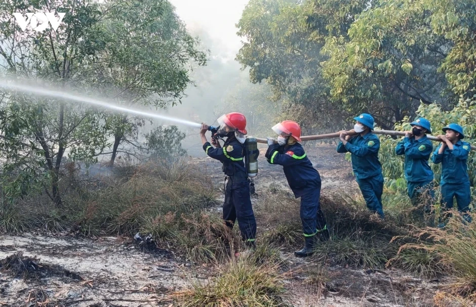 Túc trực chống cháy rừng ven biển giữa nắng nóng Túc trực chống cháy rừng ven biển giữa nắng nóng
