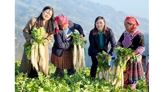 Từng bước đổi thay diện mạo vùng cao