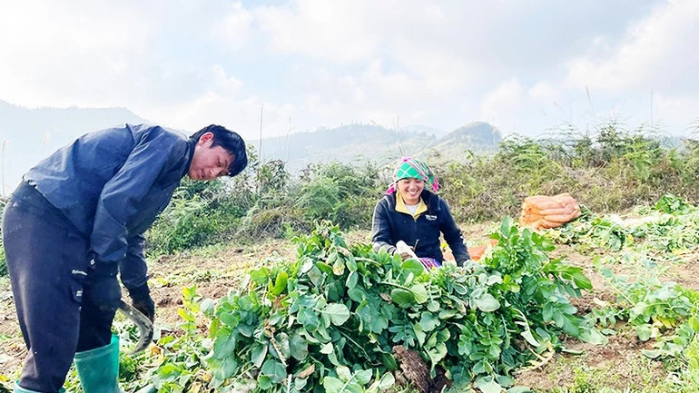 Từng bước đổi thay diện mạo vùng cao Từng bước đổi thay diện mạo vùng cao