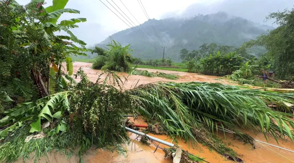Tuyên Quang bổ sung hơn 11 tỷ đồng khắc phục sạt lở do mưa lũ Tuyên Quang bổ sung hơn 11 tỷ đồng khắc phục sạt lở do mưa lũ