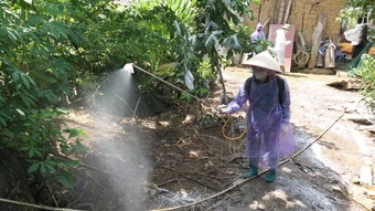 Tuyên Quang chỉ đạo tăng cường phòng, chống bệnh dịch tả lợn châu Phi