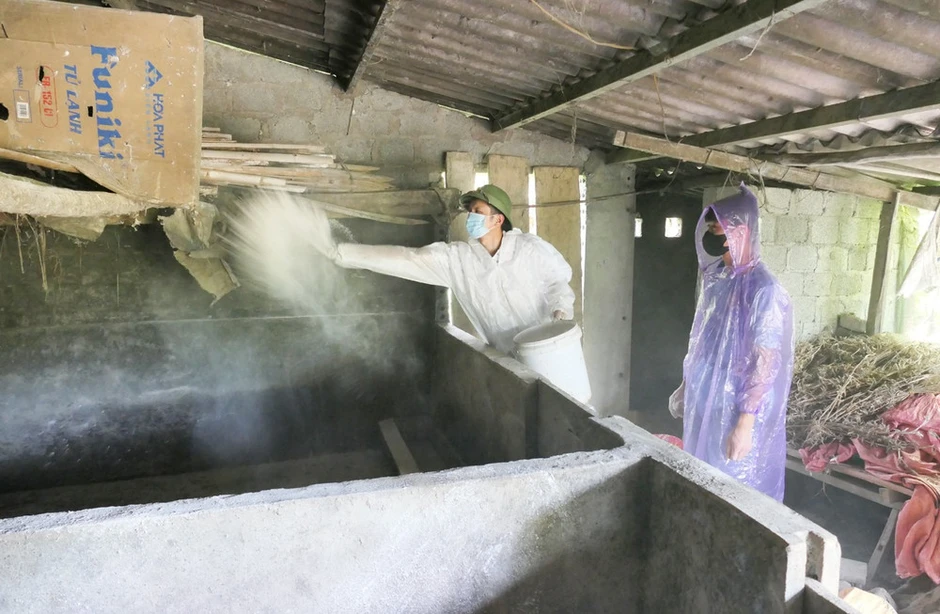 Tuyên Quang chỉ đạo tăng cường phòng, chống bệnh dịch tả lợn châu Phi Tuyên Quang chỉ đạo tăng cường phòng, chống bệnh dịch tả lợn châu Phi