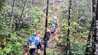 Tuyên Quang huy động 200 người tìm kiếm người mất tích trong rừng