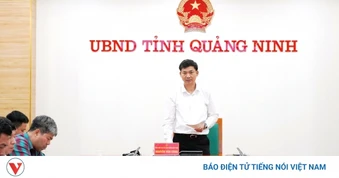 Ứng dụng radar thời tiết chuyên dụng bảo vệ an toàn trên vịnh ở Quảng Ninh