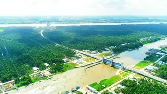 Ứng phó xâm nhập mặn trong mùa khô