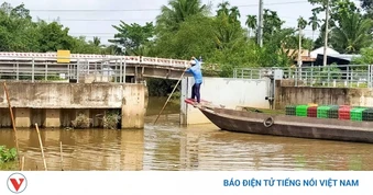 Ưu tiên đầu tư các dự án liên vùng phòng, chống sụt lún, sạt lở ở ĐBSCL