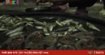 Vận động người dân bỏ món cá ủ chua để ngăn chặn ngộ độc