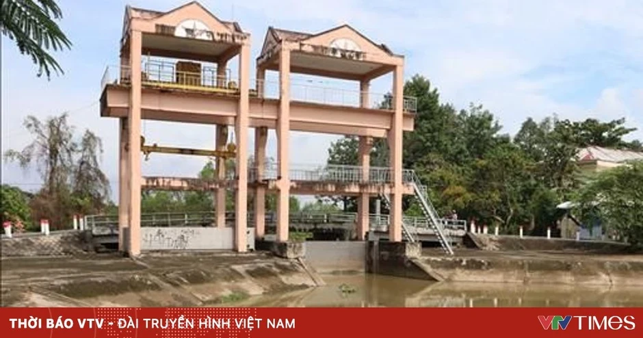 Vận hành linh hoạt "hàng rào" thủy lợi bảo vệ vùng ngọt hóa trước đợt mặn xâm nhập mới Vận hành linh hoạt "hàng rào" thủy lợi bảo vệ vùng ngọt hóa trước đợt mặn xâm nhập mới