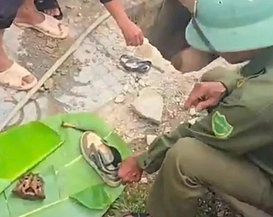 Vật nghi là sọ người tại mương nước ở Nghệ An: Đã xác định được danh tính Vật nghi là sọ người tại mương nước ở Nghệ An: Đã xác định được danh tính