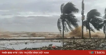 Ven biển từ Đà Nẵng đến An Giang kích hoạt phương án ứng phó gió mạnh, sóng lớn