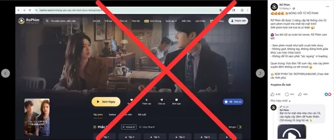 Vi phạm bản quyền trên Internet: Nhiều người biết nhưng không quan tâm Vi phạm bản quyền trên Internet: Nhiều người biết nhưng không quan tâm