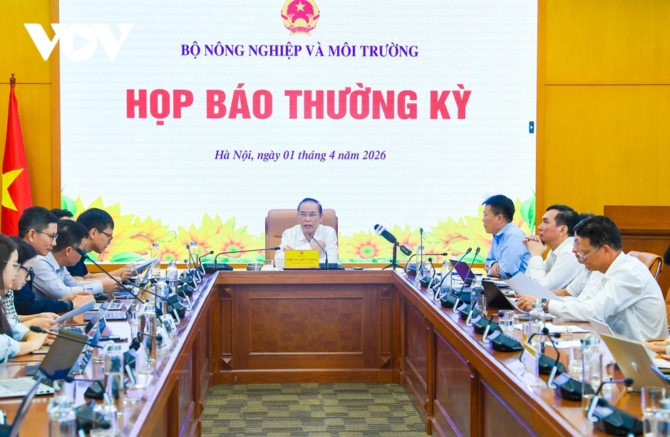 Vì sao Bộ Nông nghiệp và Môi trường điều chỉnh giá sử dụng khu vực biển? Vì sao Bộ Nông nghiệp và Môi trường điều chỉnh giá sử dụng khu vực biển?