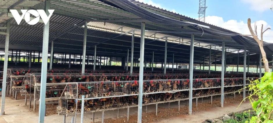 Vì sao nhiều người dân ở Đồng Tháp phải đóng kín cửa nhà khi ăn cơm? Vì sao nhiều người dân ở Đồng Tháp phải đóng kín cửa nhà khi ăn cơm?