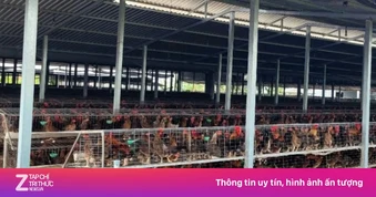 Vì sao nhiều nhà ở Đồng Tháp phải đóng kín cửa khi ăn cơm?