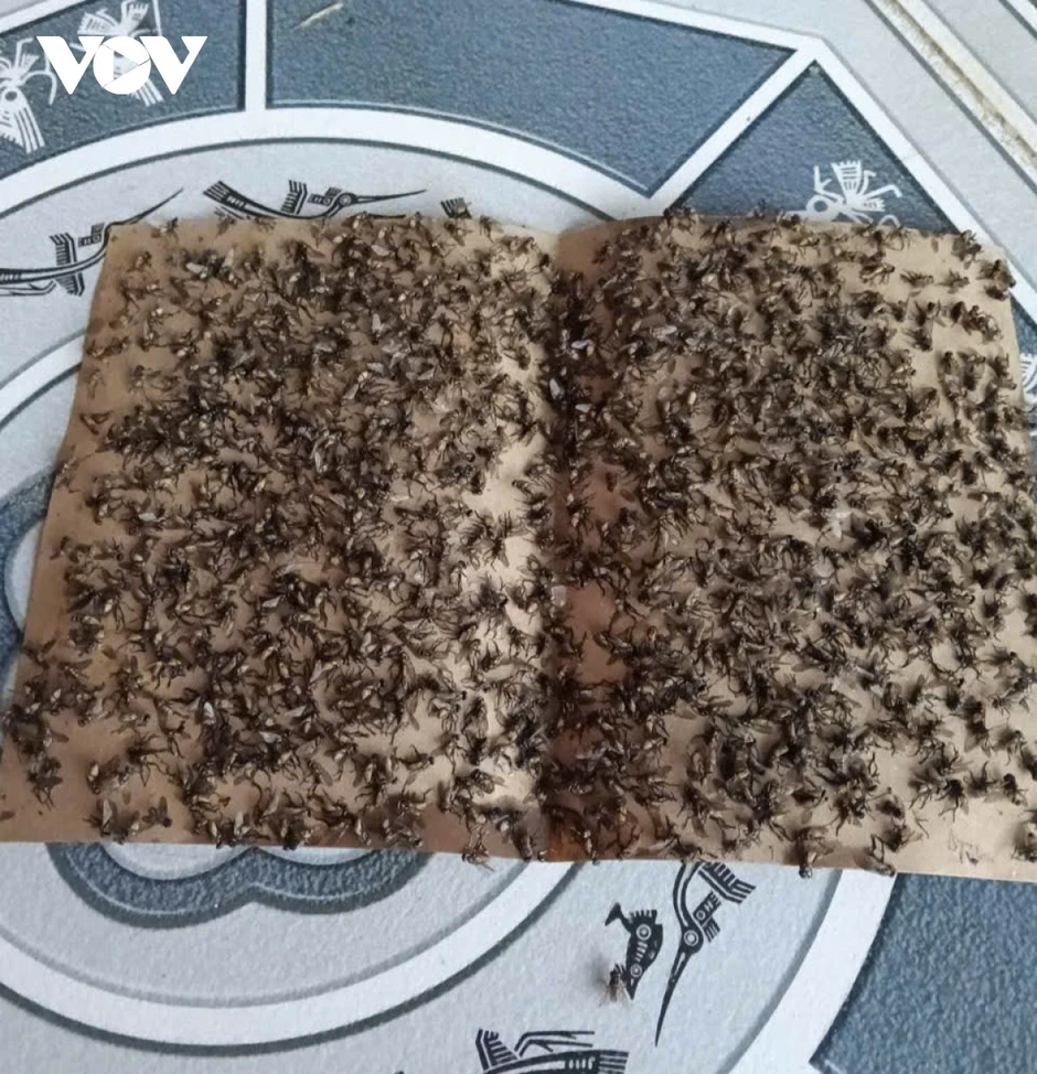 Vì sao nhiều nhà ở Đồng Tháp phải đóng kín cửa khi ăn cơm? Vì sao nhiều nhà ở Đồng Tháp phải đóng kín cửa khi ăn cơm?