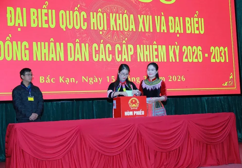 Việc tham gia chứng kiến kiểm phiếu và khiếu nại về kiểm phiếu được thực hiện thế nào? Việc tham gia chứng kiến kiểm phiếu và khiếu nại về kiểm phiếu được thực hiện thế nào?