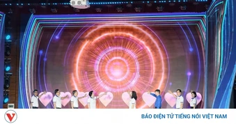 Việt Nam thực hiện gần 11.000 ca ghép tạng thành công