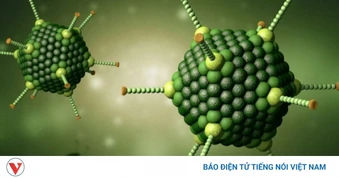 Virus Adeno có phải là nguyên nhân gây đau mắt đỏ hay viêm kết mạc?