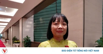 Vụ 300 tấn thịt lợn "bẩn": ĐBQH đề nghị rà soát việc chồng chéo trong quản lý