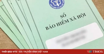 Vụ 35 lao công ở Quảng Ngãi bị nợ bảo hiểm: UBND tỉnh chỉ đạo kiểm tra khẩn