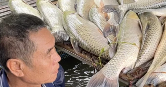 Vụ cá chết hàng loạt ở sông Lam: Nghệ An chỉ đạo rà soát nguồn thải