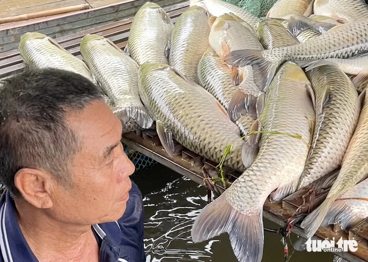 Vụ cá chết hàng loạt ở sông Lam: Nghệ An chỉ đạo rà soát nguồn thải Vụ cá chết hàng loạt ở sông Lam: Nghệ An chỉ đạo rà soát nguồn thải