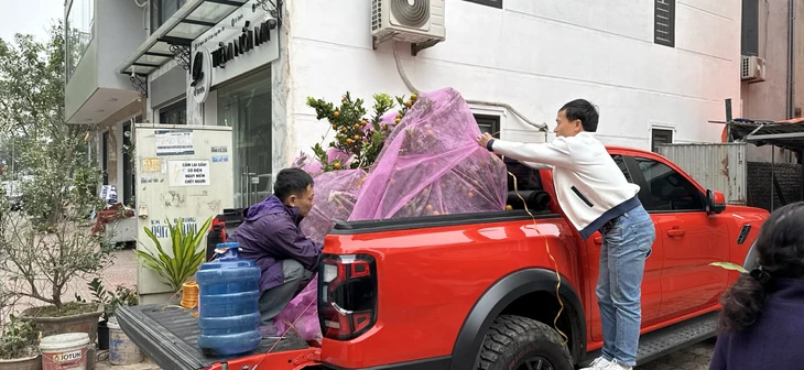 Vụ cấm xe bán tải vào nội đô, lãnh đạo Sở Xây dựng Hà Nội nói gì? Vụ cấm xe bán tải vào nội đô, lãnh đạo Sở Xây dựng Hà Nội nói gì?