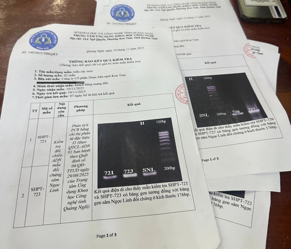 Vụ “Dịch vụ kiểm tra ADN và phân tích saponin sâm Ngọc Linh… chưa được cấp phép”: Nhiều doanh nghiệp, cá nhân gửi mẫu kiểm tra ADN Vụ “Dịch vụ kiểm tra ADN và phân tích saponin sâm Ngọc Linh… chưa được cấp phép”: Nhiều doanh nghiệp, cá nhân gửi mẫu kiểm tra ADN