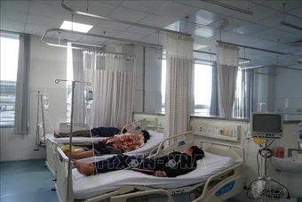 Vụ nghi ngộ độc bánh mì ở Vũng Tàu: Phát hiện vi khuẩn Salmonella trong nhiều mẫu bệnh phẩm