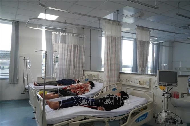Vụ nghi ngộ độc bánh mì ở Vũng Tàu: Phát hiện vi khuẩn Salmonella trong nhiều mẫu bệnh phẩm Vụ nghi ngộ độc bánh mì ở Vũng Tàu: Phát hiện vi khuẩn Salmonella trong nhiều mẫu bệnh phẩm
