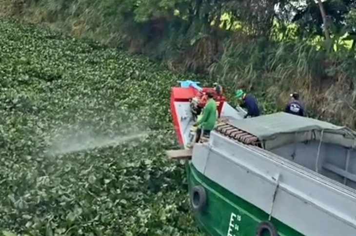 Vụ phun xịt thuốc diệt lục bình ở An Giang: Địa phương nhắc nhở và buộc gỡ clip Vụ phun xịt thuốc diệt lục bình ở An Giang: Địa phương nhắc nhở và buộc gỡ clip