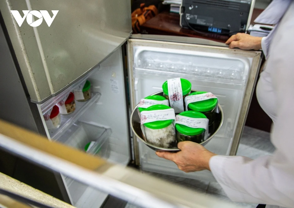 Vụ "tuồn" thịt lợn bệnh vào trường học ở Hà Nội: Bộ Y tế chỉ đạo khẩn