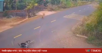 Vụ tai nạn khiến nam sinh lớp 12 ở Đắk Lắk tử vong: Xe máy “độ” dung tích xi-lanh gấp 3 lần