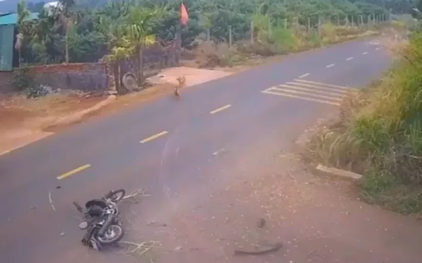 Vụ tai nạn khiến nam sinh lớp 12 ở Đắk Lắk tử vong: Xe máy “độ” dung tích xi-lanh gấp 3 lần Vụ tai nạn khiến nam sinh lớp 12 ở Đắk Lắk tử vong: Xe máy “độ” dung tích xi-lanh gấp 3 lần