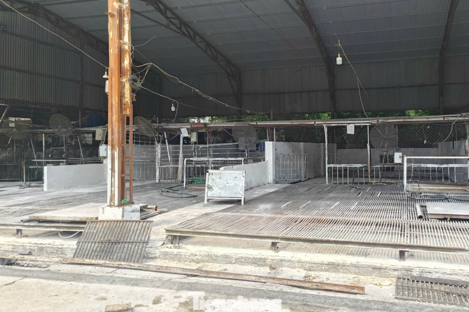 Vụ tiêu thụ gần 300 tấn lợn bệnh ở Hà Nội: Thu giữ cuốn sổ ghi chép việc ăn chia tiền 'làm luật' Vụ tiêu thụ gần 300 tấn lợn bệnh ở Hà Nội: Thu giữ cuốn sổ ghi chép việc ăn chia tiền 'làm luật'