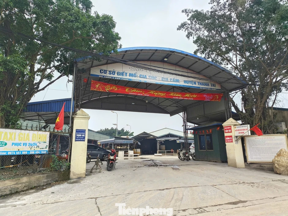 Vụ tiêu thụ gần 300 tấn lợn bệnh ở Hà Nội: Thu giữ cuốn sổ ghi chép việc ăn chia tiền 'làm luật' Vụ tiêu thụ gần 300 tấn lợn bệnh ở Hà Nội: Thu giữ cuốn sổ ghi chép việc ăn chia tiền 'làm luật'