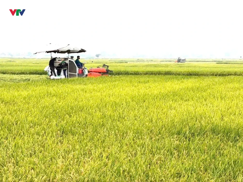 Xã Bản Nguyên (Phú Thọ): Sẵn sàng tăng tốc sau một năm hoạt động chính quyền 2 cấp Xã Bản Nguyên (Phú Thọ): Sẵn sàng tăng tốc sau một năm hoạt động chính quyền 2 cấp