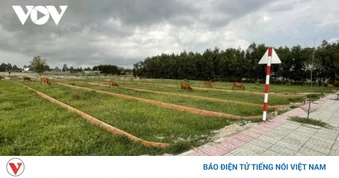Xã Hải Hậu, tỉnh Ninh Bình thông báo thu hồi đất trồng lúa
