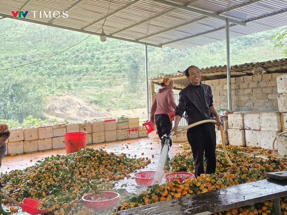 Xã vùng cao Thu Cúc (Phú Thọ): Phát triển kinh tế đồi rừng – hướng đi bền vững giúp người dân xóa đói giảm nghèo Xã vùng cao Thu Cúc (Phú Thọ): Phát triển kinh tế đồi rừng – hướng đi bền vững giúp người dân xóa đói giảm nghèo