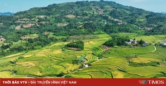 Xác định 15 tỉnh vùng dân tộc thiểu số, 12 tỉnh miền núi