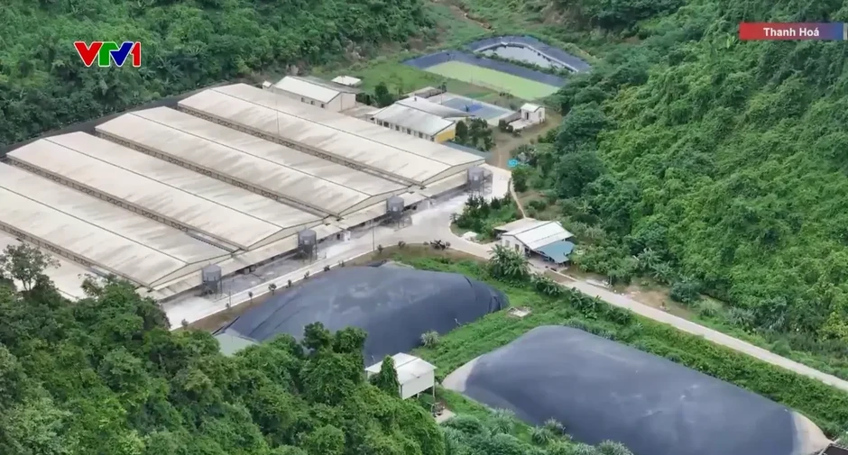 Xác định nguyên nhân ban đầu vụ tai nạn lao động khiến 5 người tử vong ở Thanh Hóa