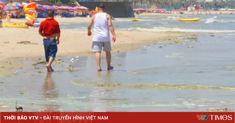 Xác định nguyên nhân nước biển Bãi Sau đổi màu bất thường