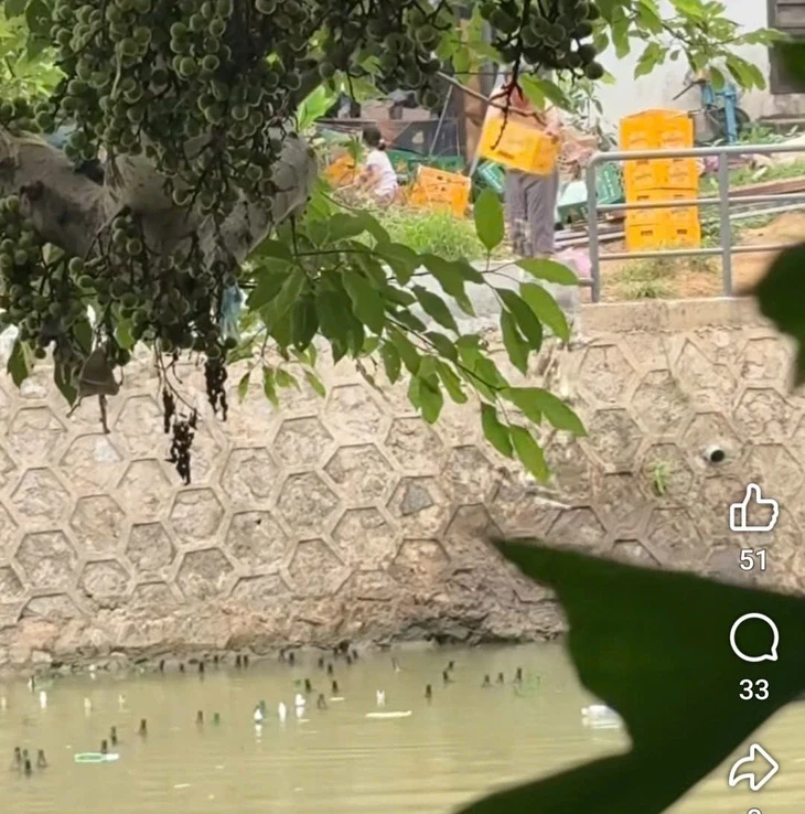 Xác minh clip người đàn ông đổ vỏ chai thủy tinh xuống sông Kẻ Vạn ở Huế Xác minh clip người đàn ông đổ vỏ chai thủy tinh xuống sông Kẻ Vạn ở Huế